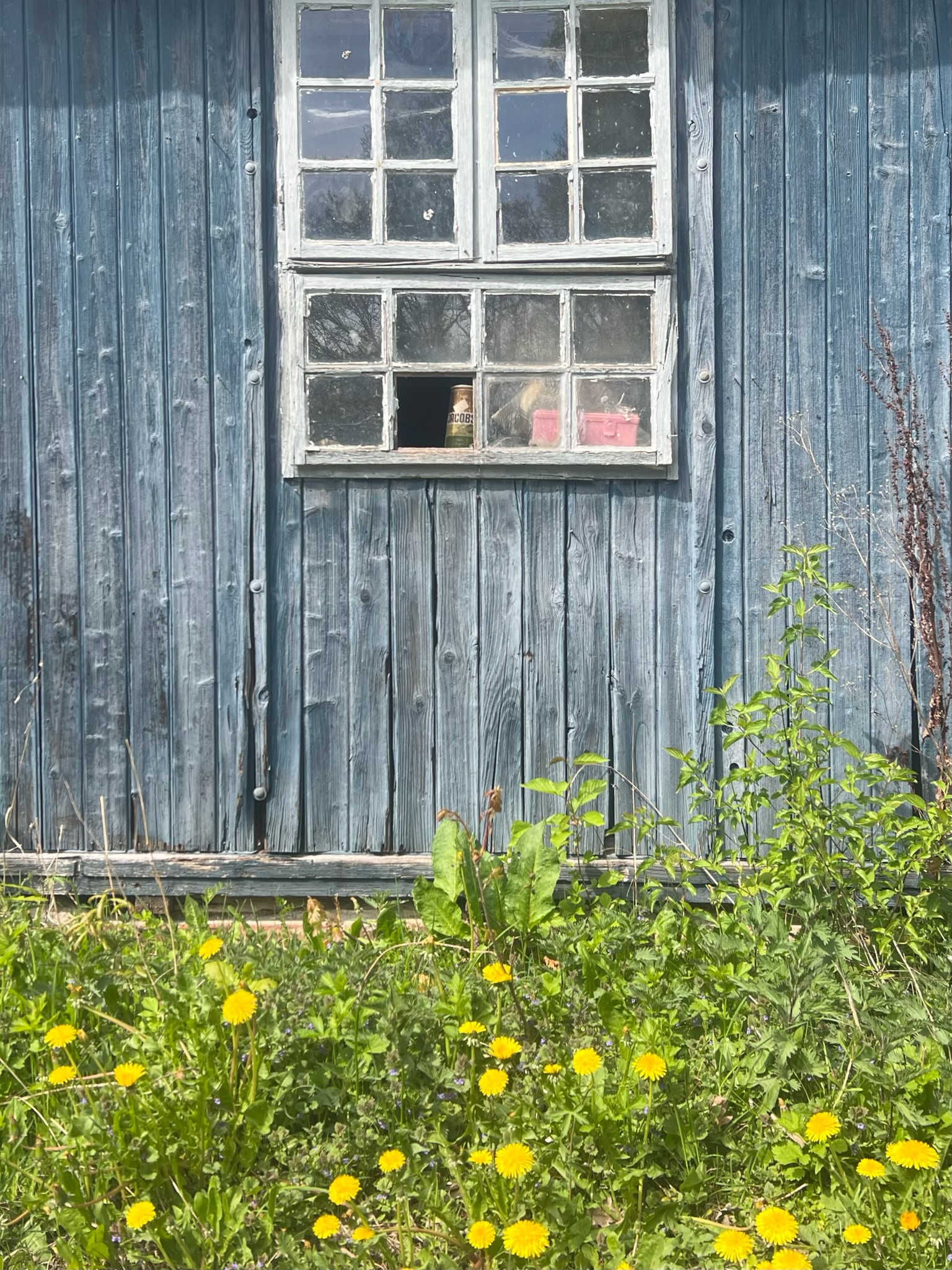 Alter Blauer Schuppen