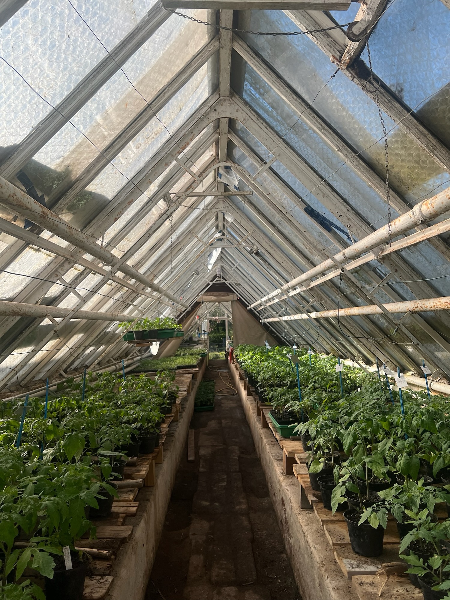 Innenansicht Altes Warmhaus