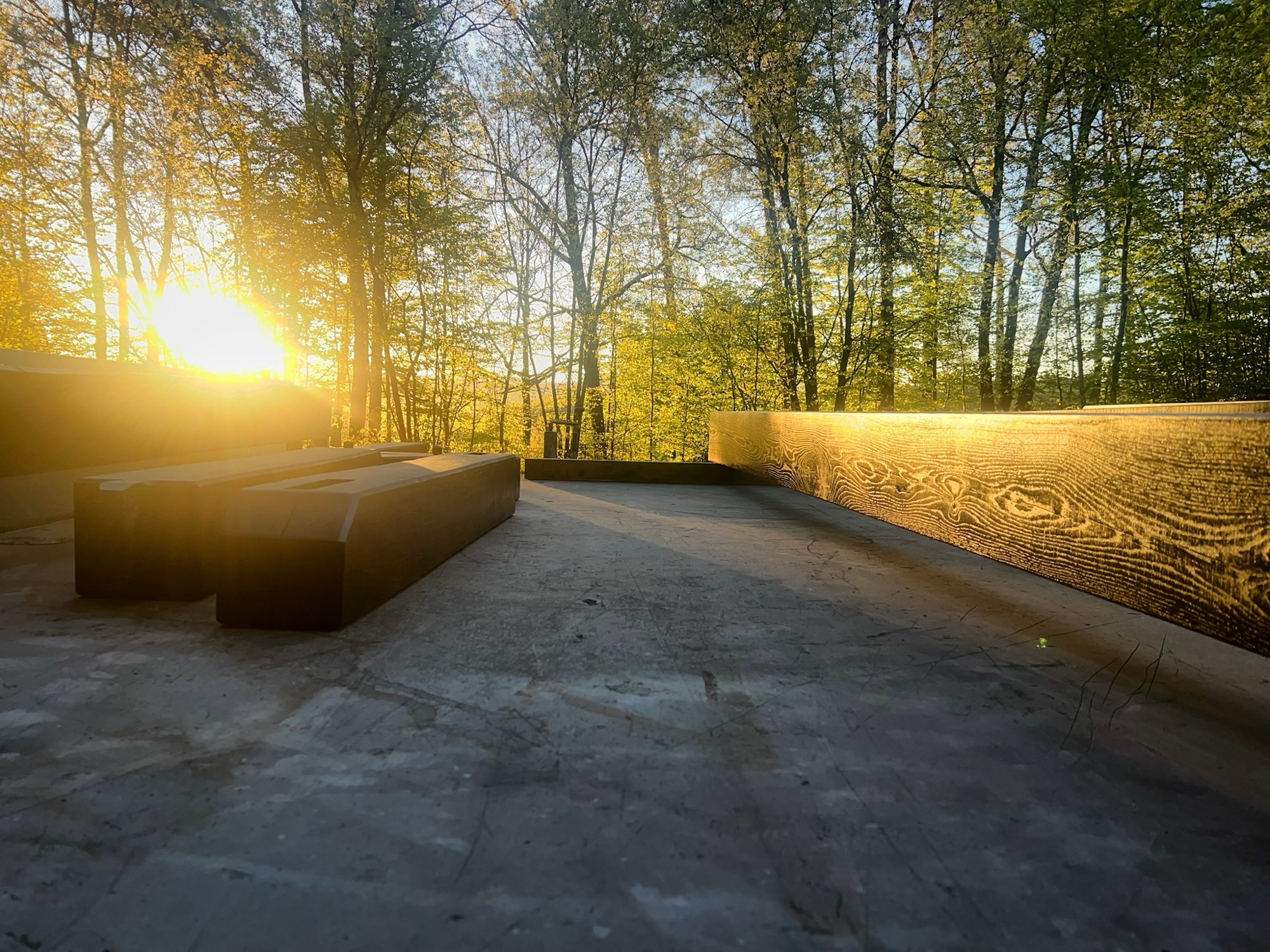 Holzbalken auf Anhänger bei Sonnenaufgang