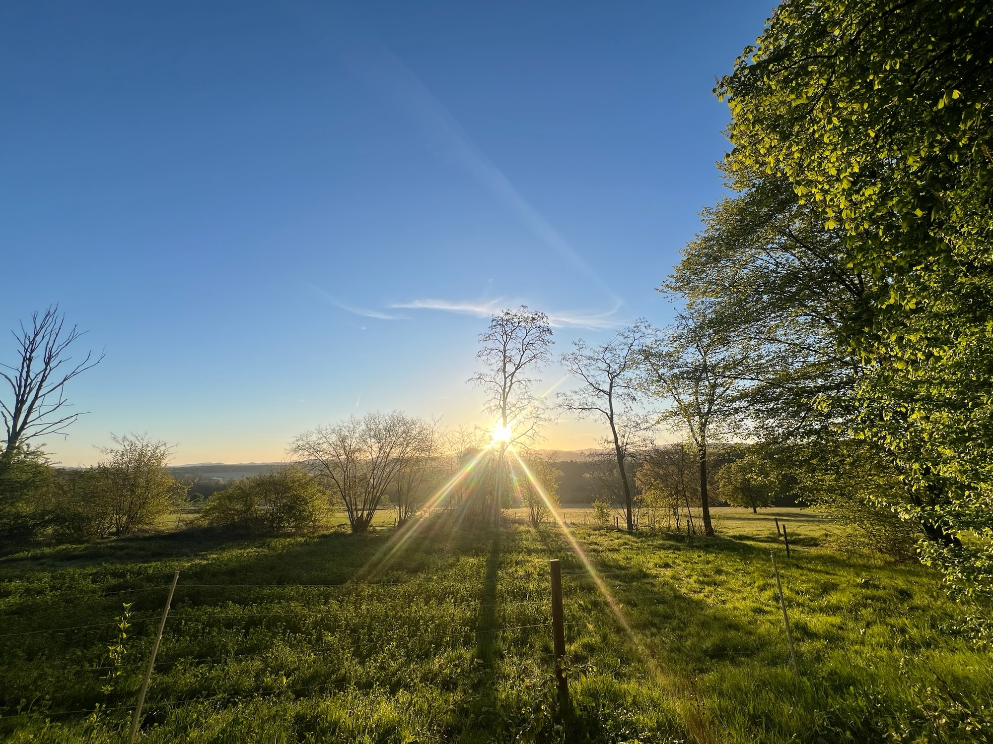 Sonnenaufgang vor der Mensa.