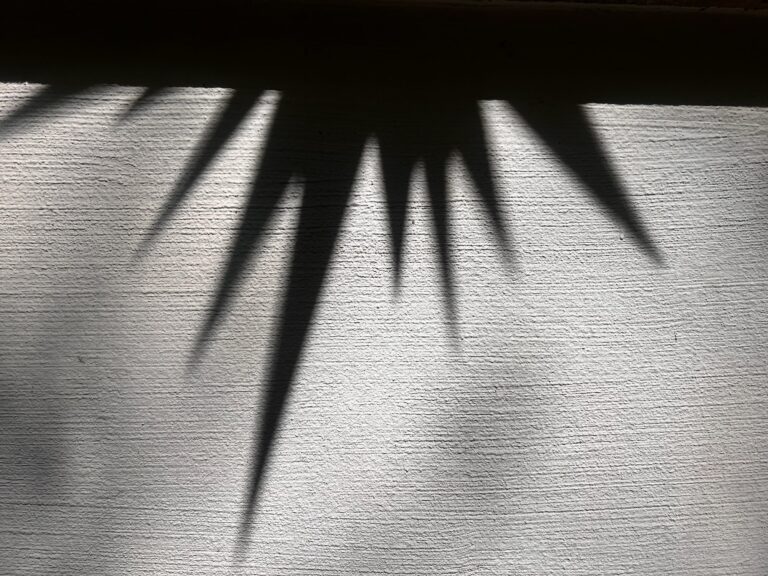 Schatten eines Weihnachtssterns auf weißer Hauswand