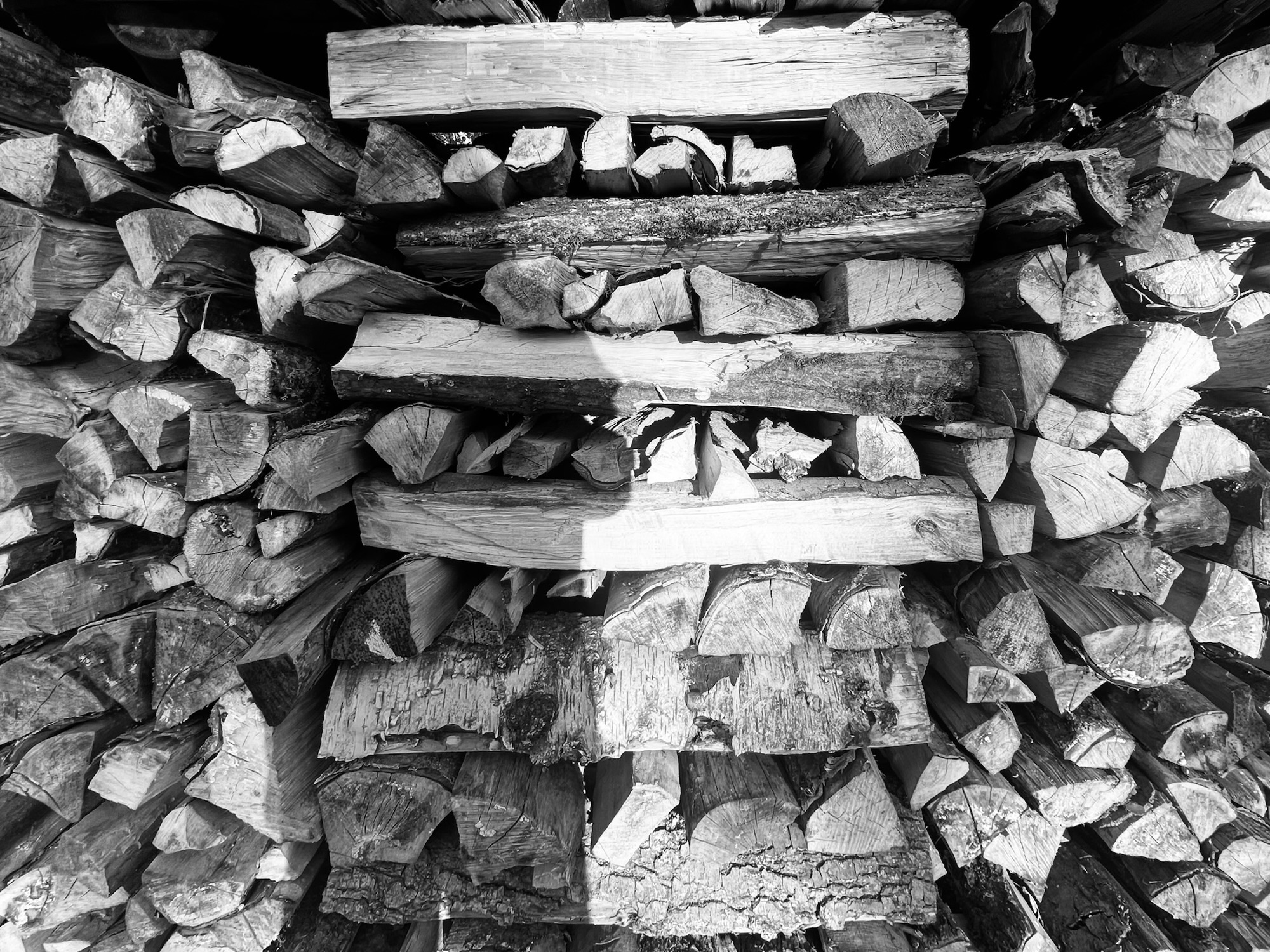 Schwarzweißes Selbstportrait: Schatten vor Holzstapel