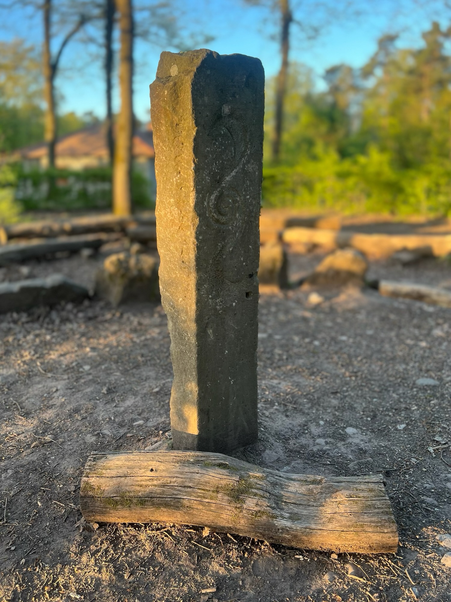 Steele vor Sitzkreis in Morgensonne