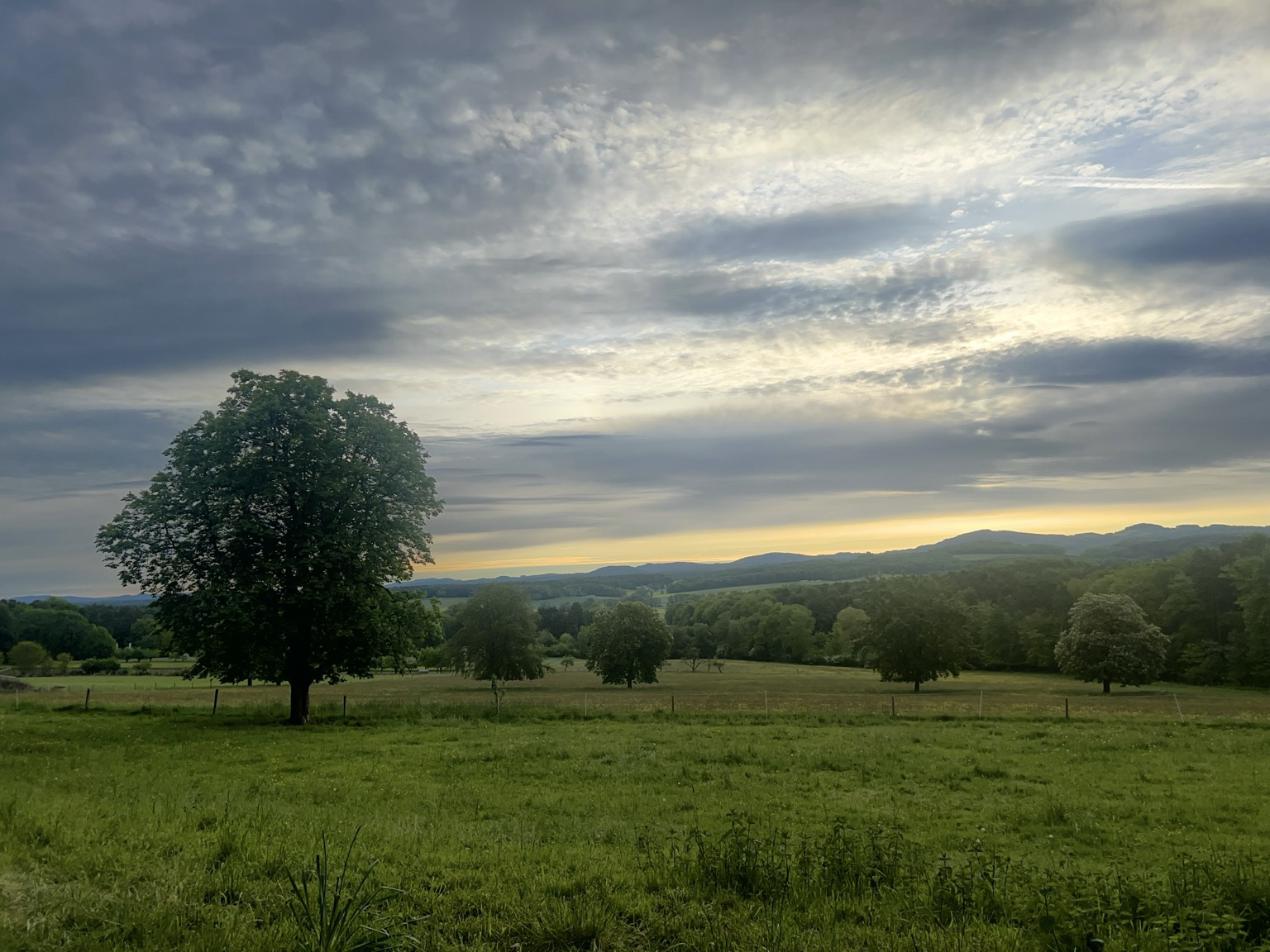Sonnenaufgang über Weiden