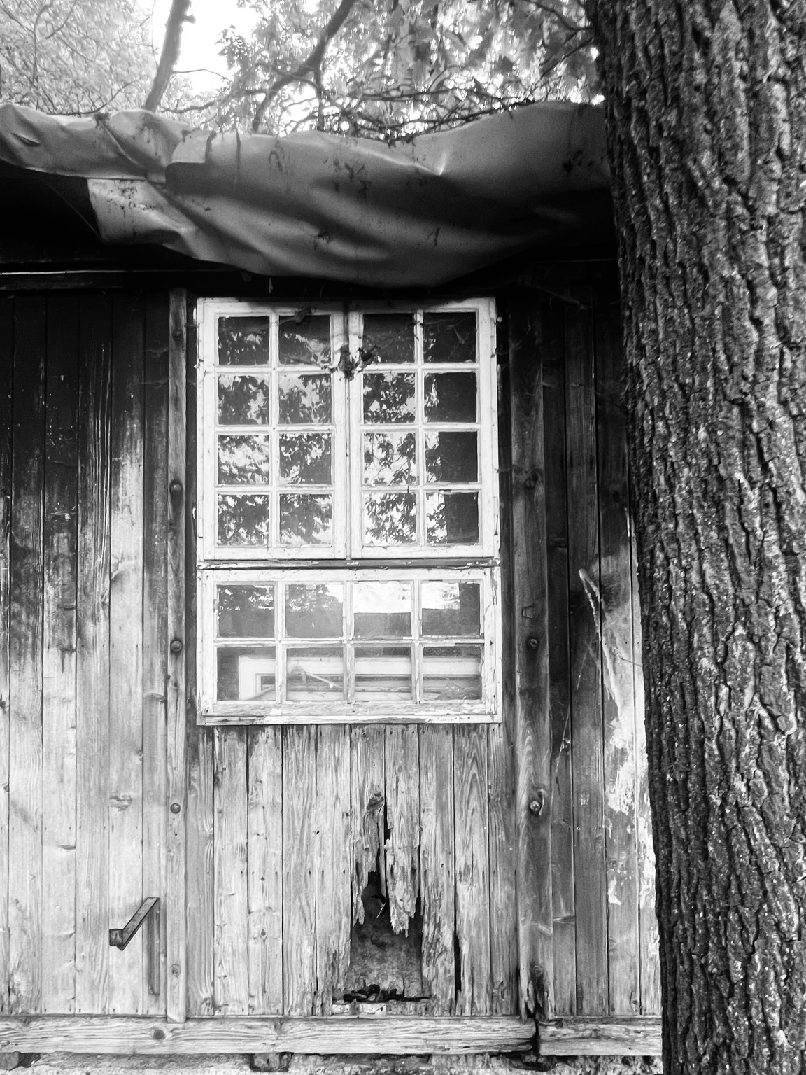 Fenster unter kaputtem Dach und über rottender Holzwand