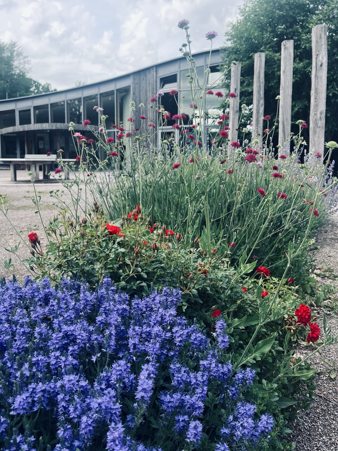 Blumenbeete vor den Haus für Spiel und Bewegung