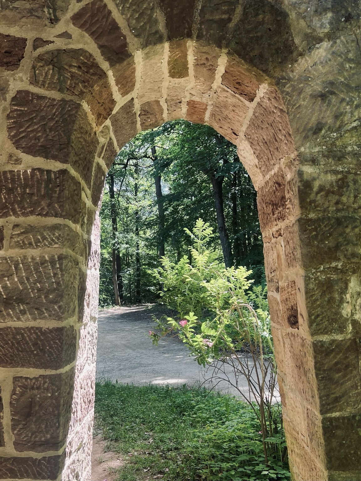 Blick durch Bogen hinter dem Franziskusbau