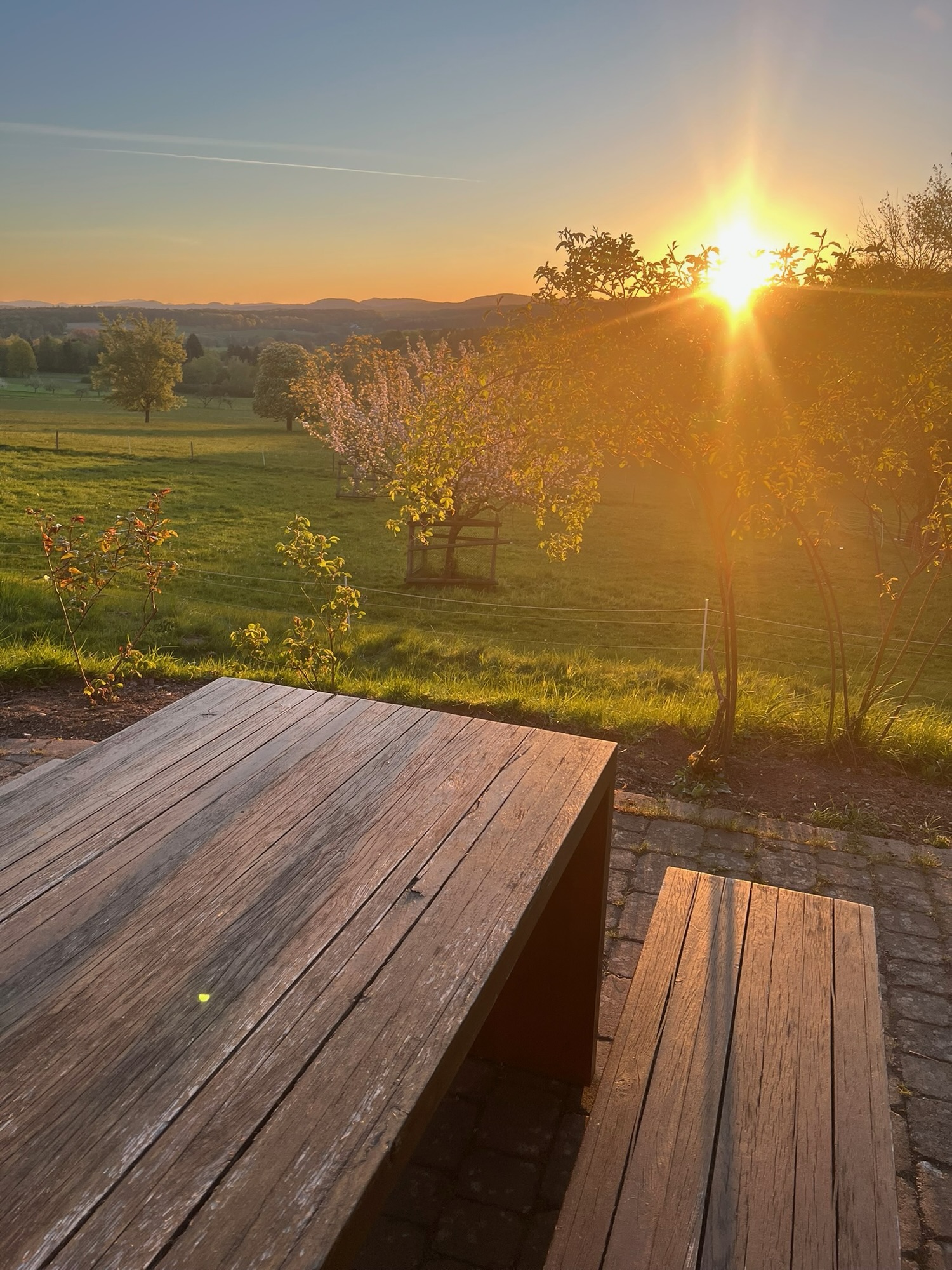 Sonnenaufgang über Mensa-Außentisch
