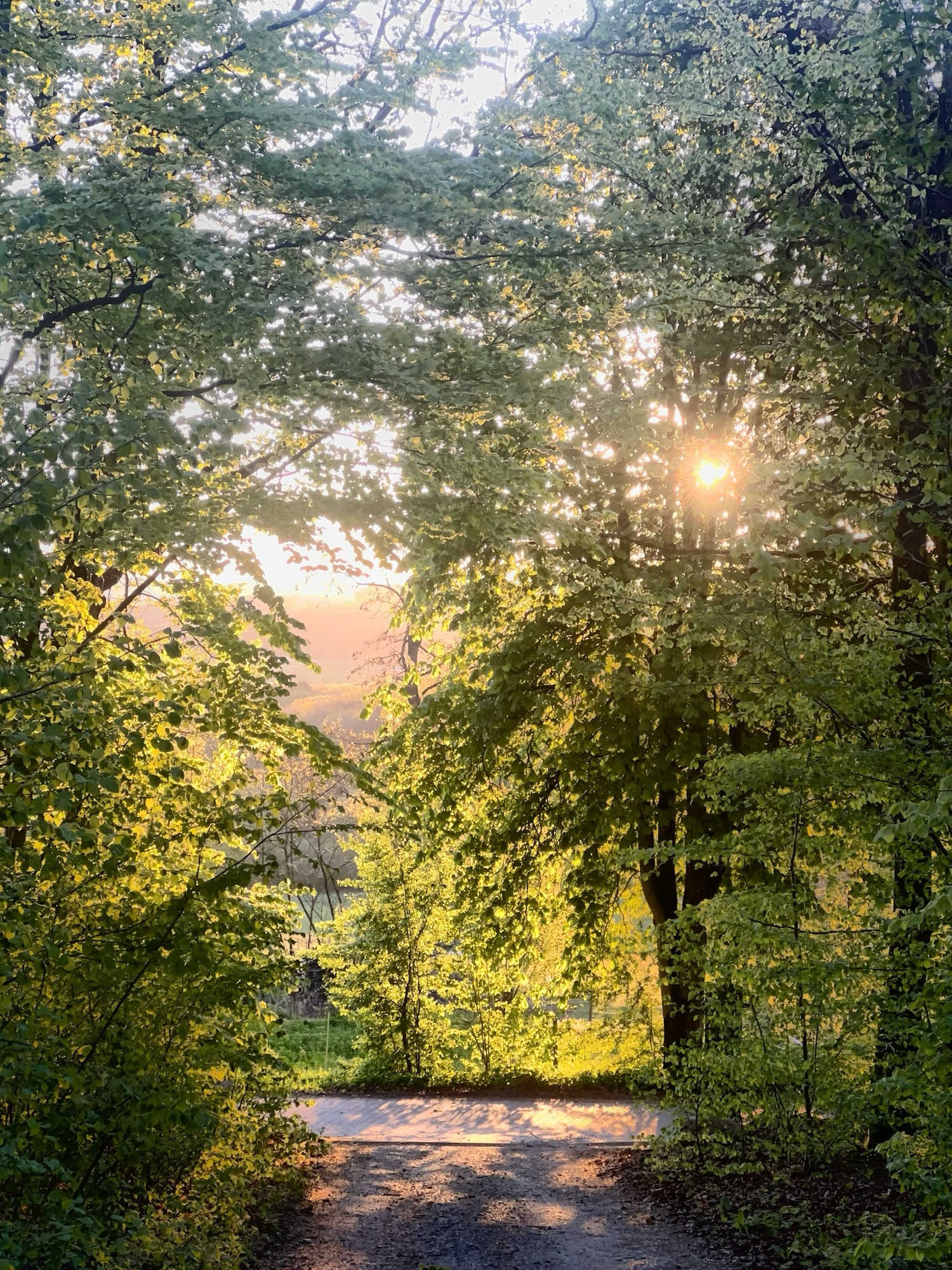 Blick vom Weg vor dem Giebelhaus Richtung Sonnenaufgang
